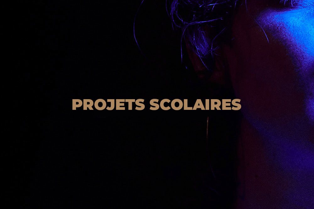 caroline_tolla_projets_scolaires